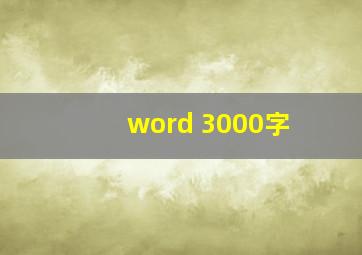 word 3000字